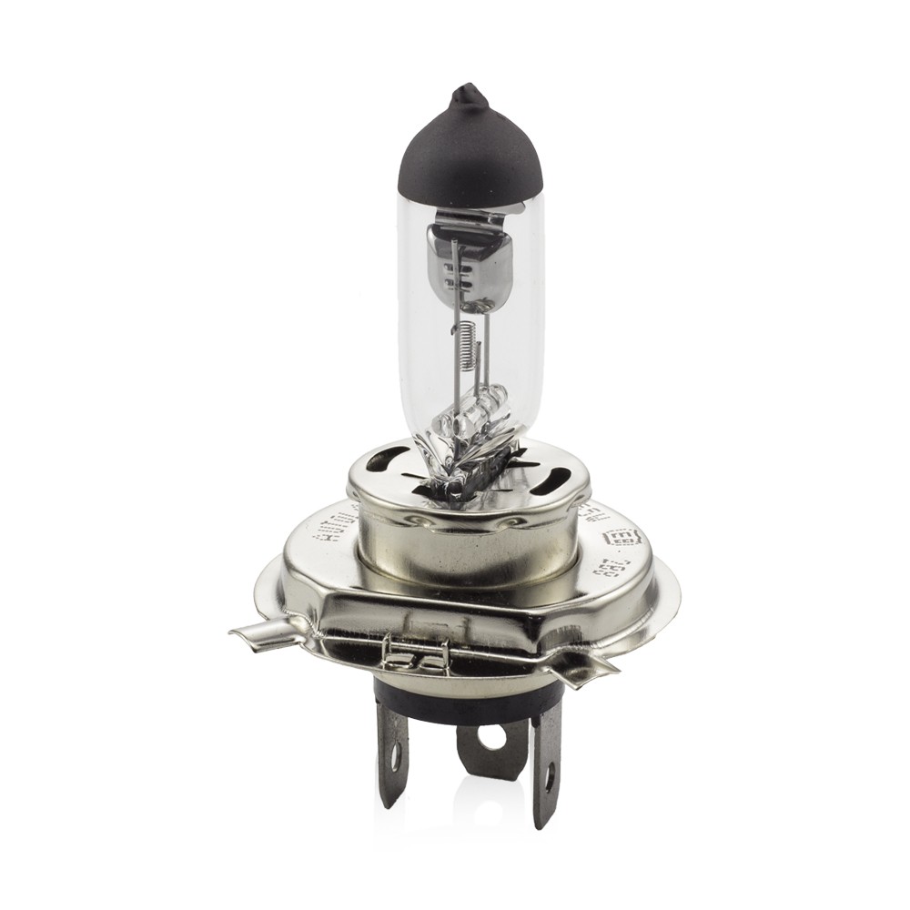 Globiz | Bec halogen H4 55/60W, +30% intensitate - CARGUARD